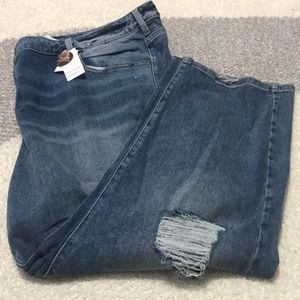 Lane Bryant - 28+, No tags